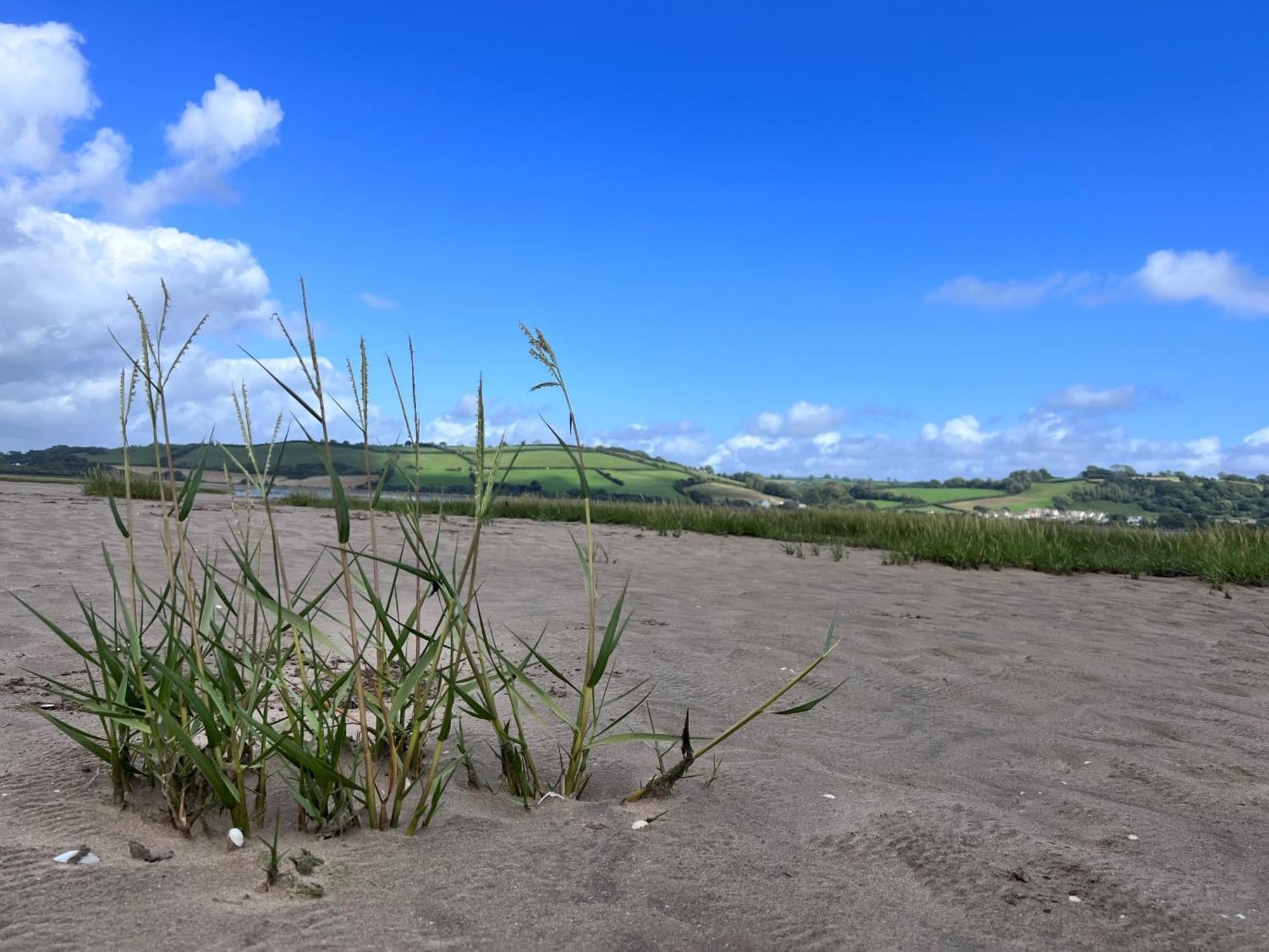 Holiday home Luxury 2-bed Barn Conversion In Llansteffan